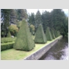 17_08 Vizille jardins.jpg